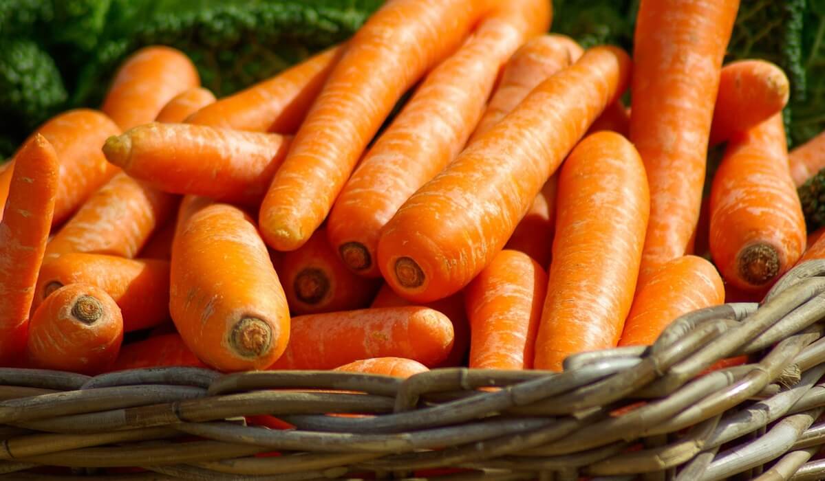 Вся польза морковки в одной статье