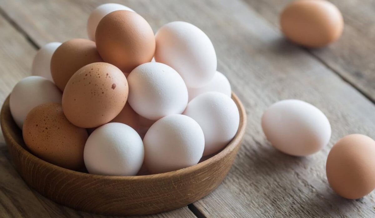 Полезные факты про яйца